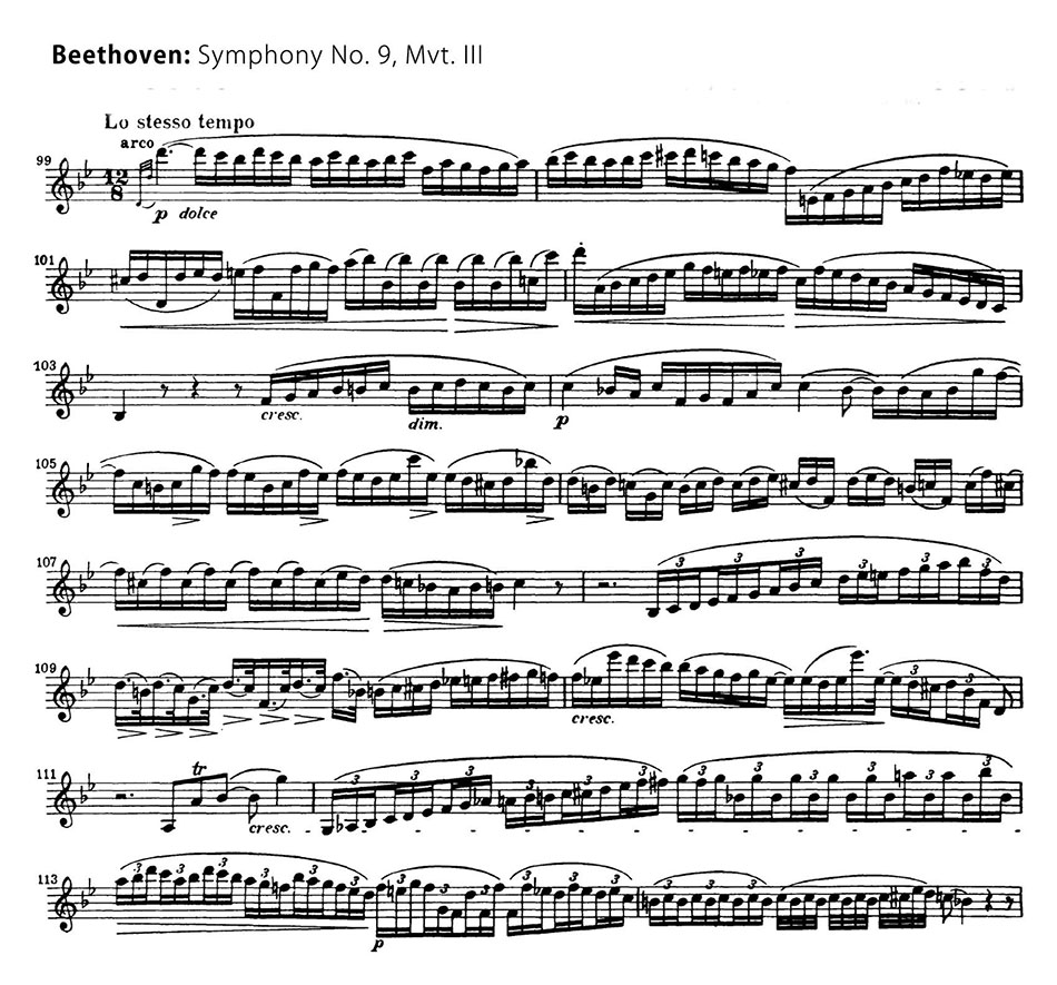 Beethoven Symphony 9 mvt 3-1 violin excerpt