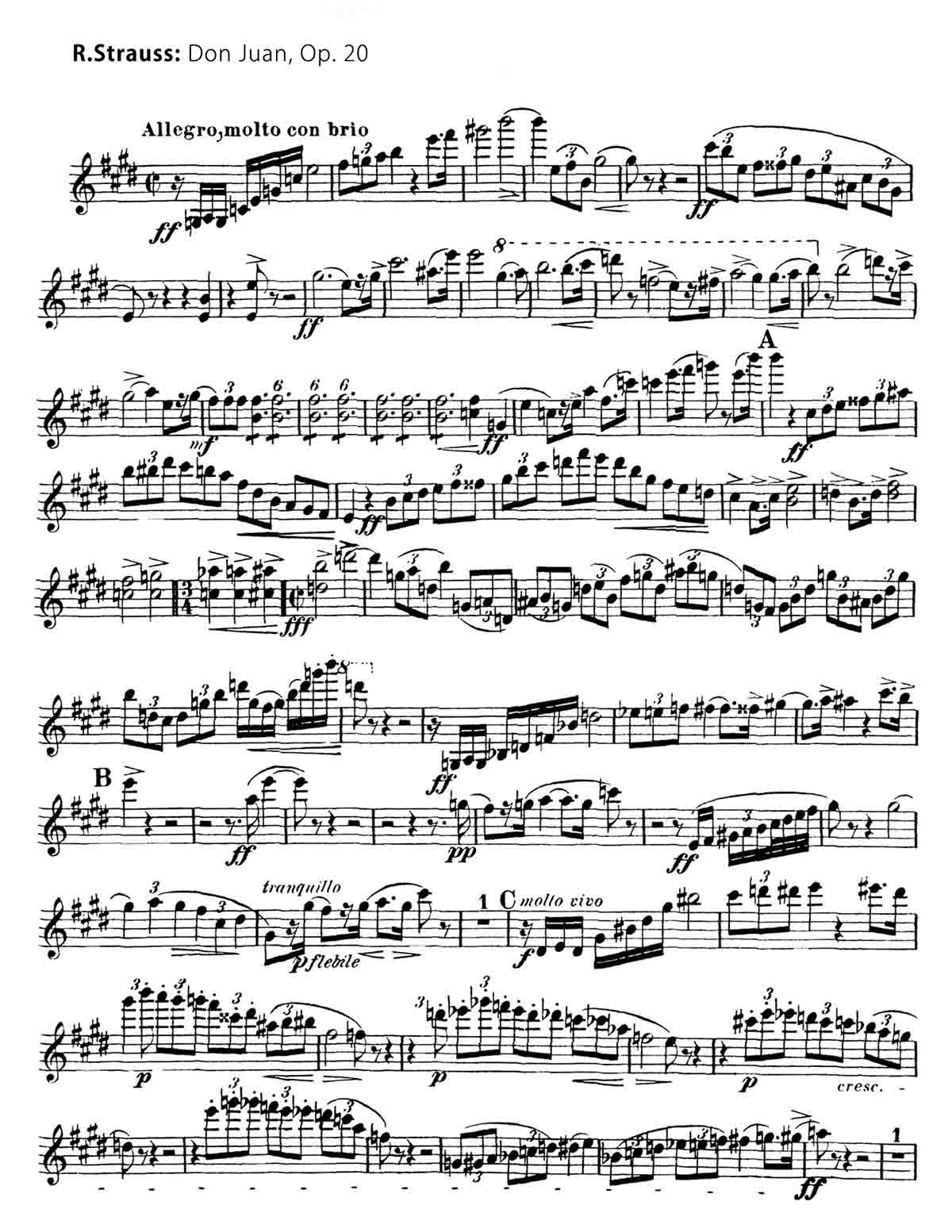 Orchester Probespiel Cello Pdf Download