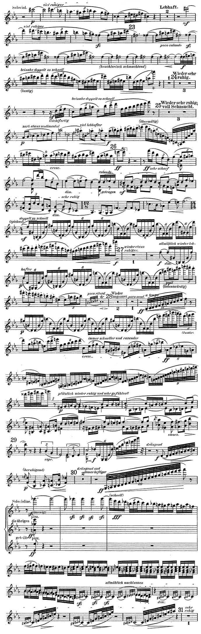 Ein Heldenleben violin excerpt