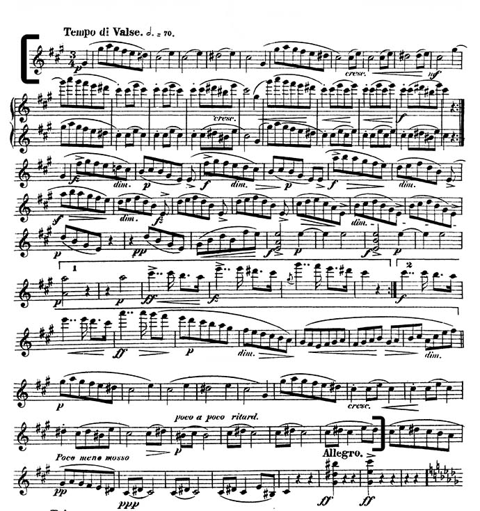 Dvorak Serenade violin excerpt