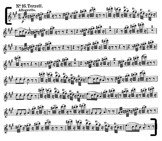 Mozart Magic Flute Act 2 violin excerpt