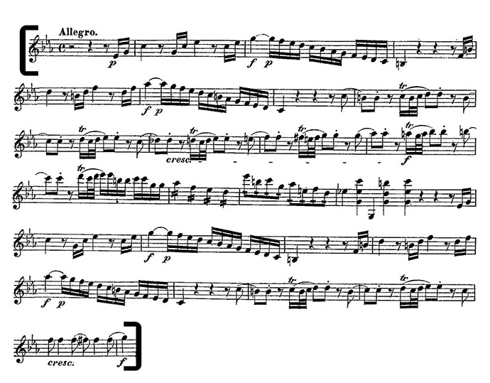 Mozart Magic Flute Act I-1